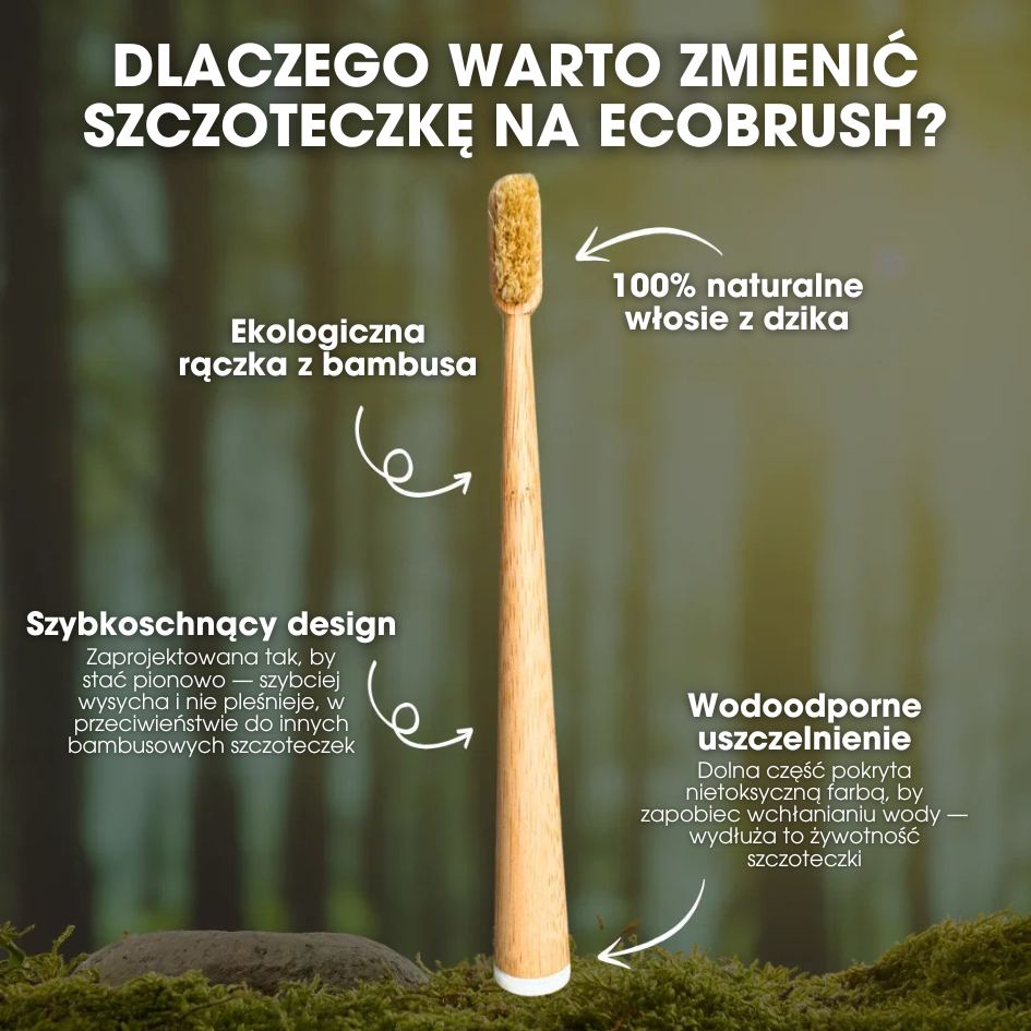 EcoBrush™ - Szczoteczka do zębów z włosiem z dzika i bambusa