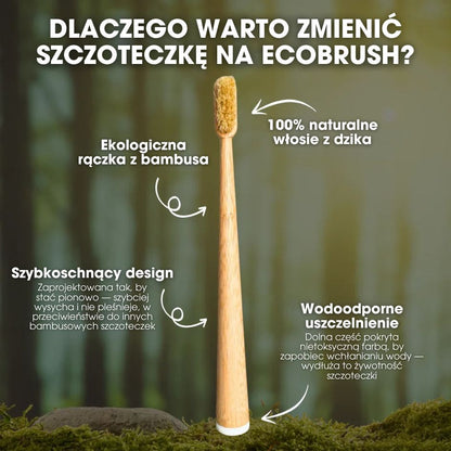 EcoBrush™ - Szczoteczka do zębów z włosiem z dzika i bambusa